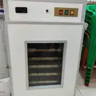 فقاسات اتوماتيك إيطالي تجميع سعودي