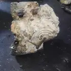 Mitsubishi  Attrage Cvt Gearboxجربكس Model  2020 صلح قير