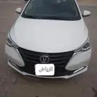 شانجان سفن 2022