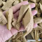 عود مروكي طبيعي