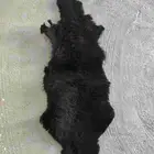 جاعد طبيعي اسود