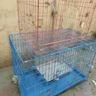 قفص كلاب وقطط وطيور