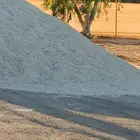 خرسان للبيع بجميع الانواع والاحجام