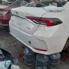 كورولا 2024