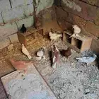 للبيع حمام مشكل
