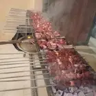 مطلوب ممول مشروع مطعم اكلات شاميه الخبره موجوده على مستوا