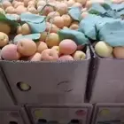 فواكه الطايف فاخره مع التوصيل مجاني