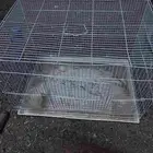 شبك قطط اصقار او حمام او أرنب صقار فيه حق الحليب