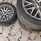 جنوط موستنق