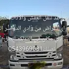 دينا مشوار من الرياض