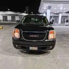 يوكن قصير الأحساء