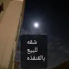 القنفذه اثاث