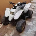 دباب تايوان حجم 100