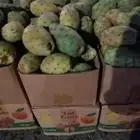 وصل الرياض برشومي وحماط وخوخ طايفي مع توصيل مجاني