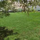 ثيل طبيعي وشبكة الري