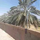 مقاول تركيب شبوك