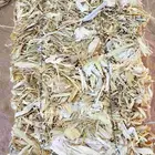 ذره شاميه كوم من شركه شجاع ارموط في وادي الدواسر