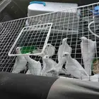 موصل طيور حيوانات اليفه امنات