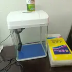 حوض سمك