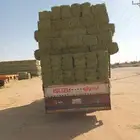 الرياض. برسيم. طيب. حق. المزنب. وطيب. العدد. 250. حبه