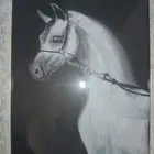 لوحات رسومات يد للبيع