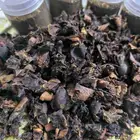 الكرورو القطيفي