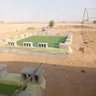 ازولا علف