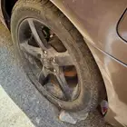 التيما 2005