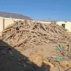 خشب نشارة للبيع