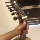عود بحريني