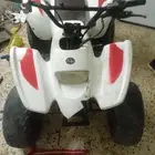 دباب تيواني للبيع