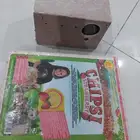 نشارة خشب وبياضة