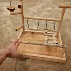 ستاند للطيور الصغيرة والمتوسطة