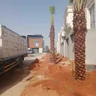 الرياض المزاحميه