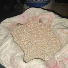 حب بر بلسمر