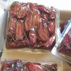 تمر صفري درجه اولى