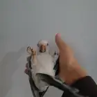 كويكر دايلوت للبيع