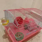 هامستر اليف ونشيط للبيع