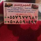 كمبروسر صرف صحي وتسليك الصرف الصحي