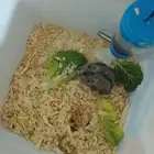 هامسترات روسيه للانتاج