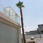 نقوم بجريدالوشنطن وتكريب