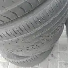 دواجن