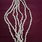لؤلؤ طبيعي الشياكه والاناقه مع اللولي الطبيعي