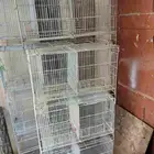 للبيع ثمان حبات شبوك تتقسم من النص تصلح طيور الحب والكناري