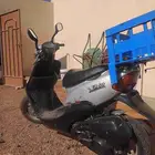 دباب بطه للبيع المكنه الكبيره