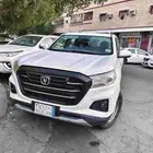 Changan hunter