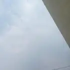 دجاج لاحم