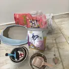 مستلزمات قطط