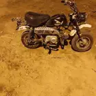 دباب جحش