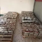 الموقع بيشة